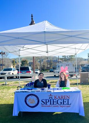The District Two team at the Spring Festival event