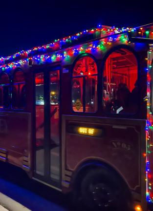 Lake Elsinore Winterfest