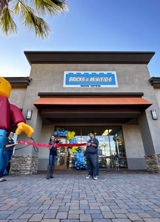 Bricks and Minifigs