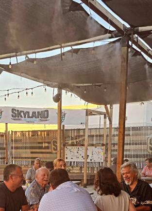  Corona Chamber mixer