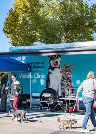 Supervisor Spiegel Advocates for Animal Welfare at Free Pet Wellness Clinic
