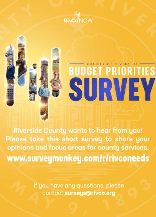 Budget Survey Flyer