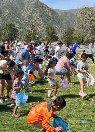 Deleo Spring Festival at Deleo Regional Sports Park
